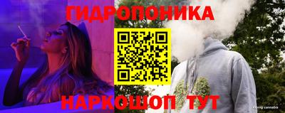 шишки Кулебаки