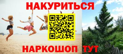 стаф Кунгур